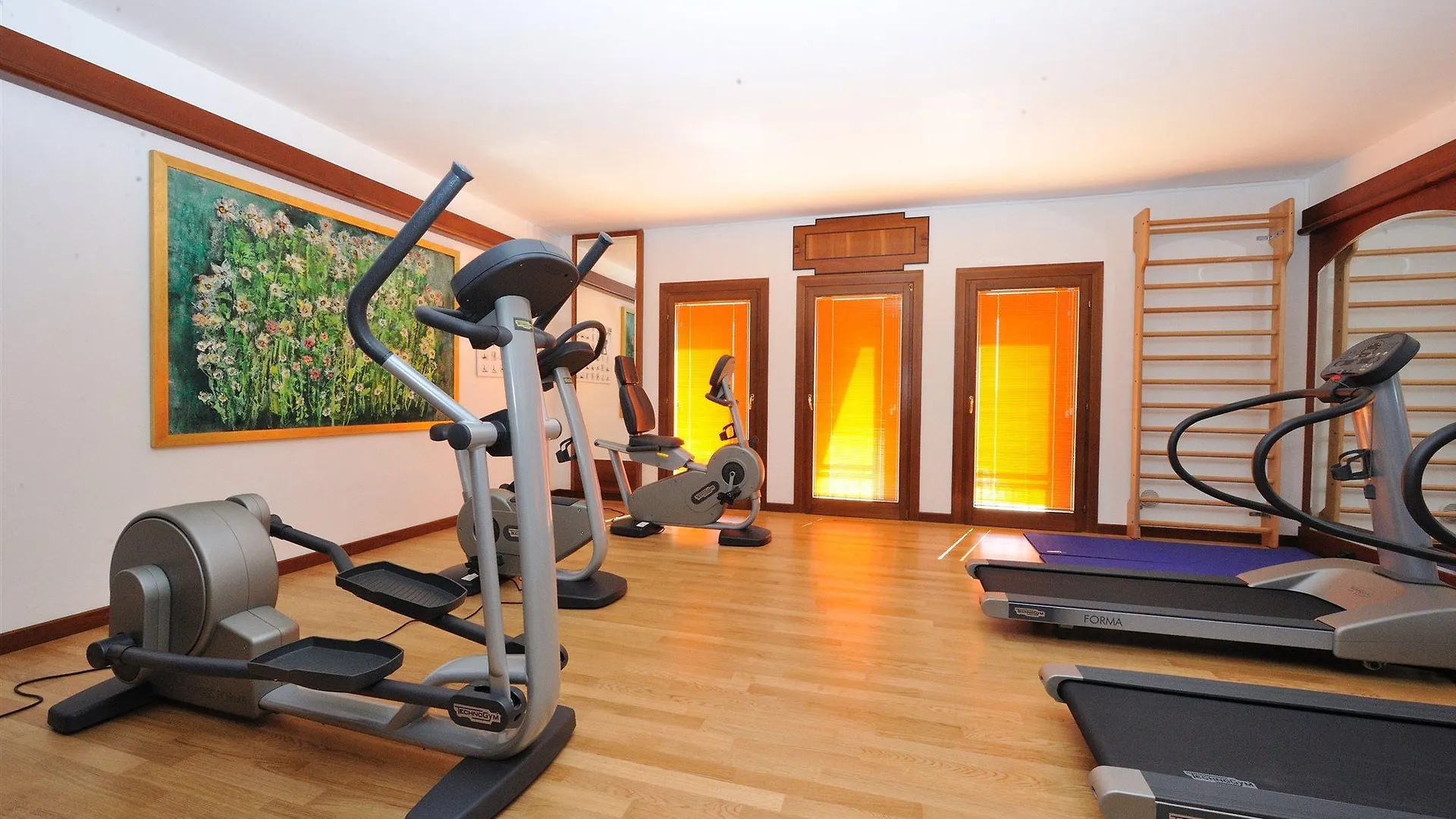 Hotel Roxy Plaza Soave  Soave (Verona)
